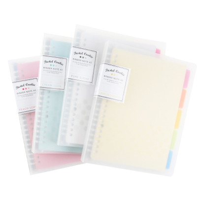Блокнот Binder Note A5 цветные