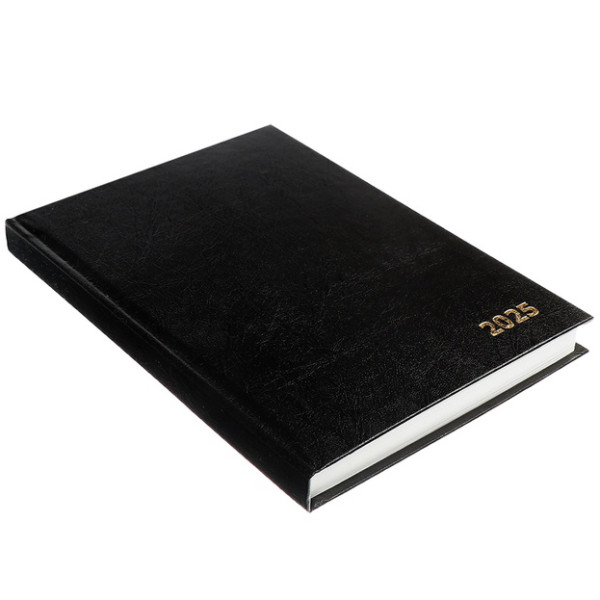 Ежедневник 168 листов А5 датированный, бумвинил, черный РОССИЯ